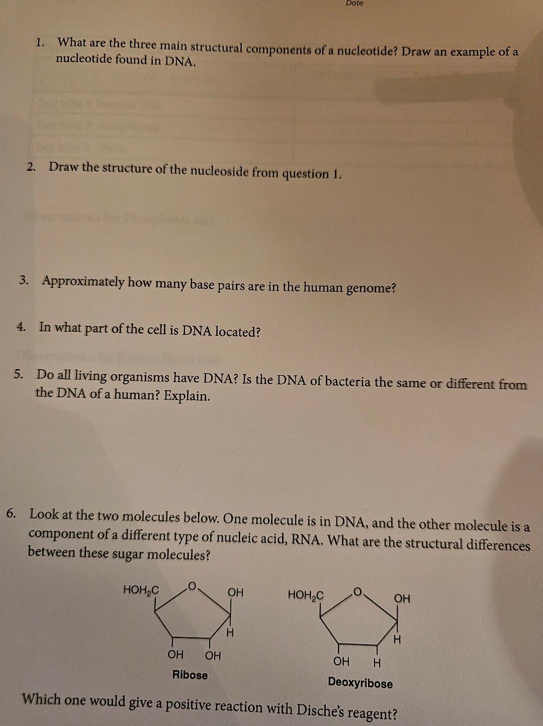 Solved 1. What are the three main structural components of a | Chegg.com