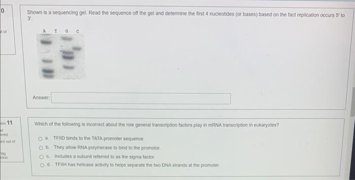 Shown is a sequencing gel. Read the sequence off the gel and determine the first 4 nucleotides (or bases) based on the fact r