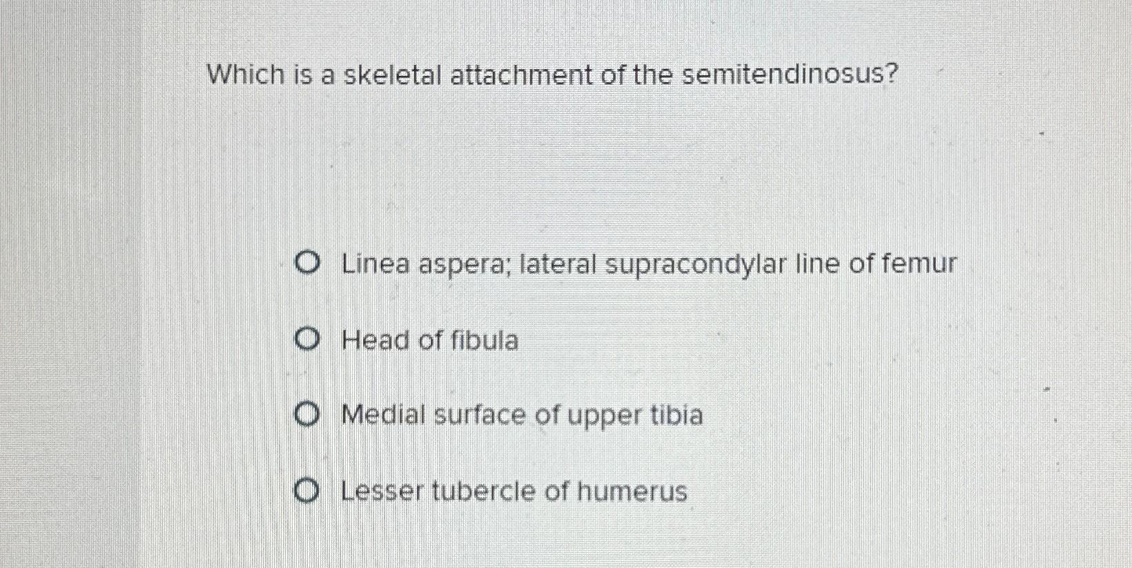 Solved Which is a skeletal attachment of the | Chegg.com