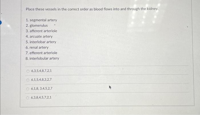 Solved Place these vessels in the correct order as blood | Chegg.com