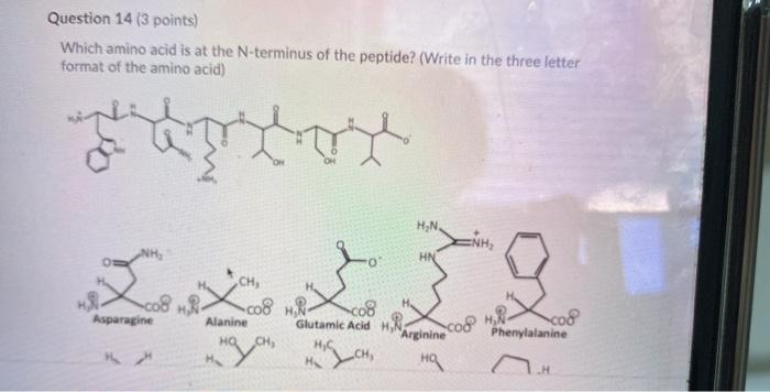 Solved Question 14 (3 points) Which amino acid is at the | Chegg.com