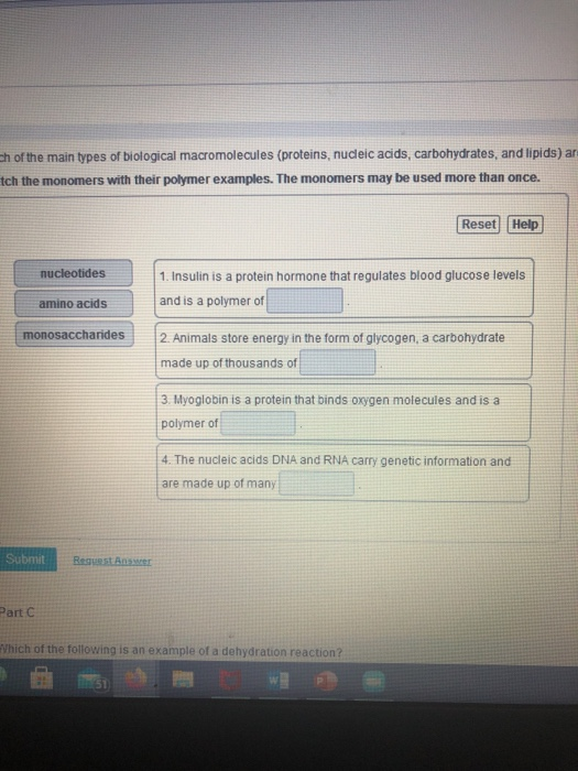 Solved 900 nucleotide 1. A reaction builds polymers from