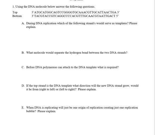 Solved 1. Using the DNA molecule below answer the following | Chegg.com