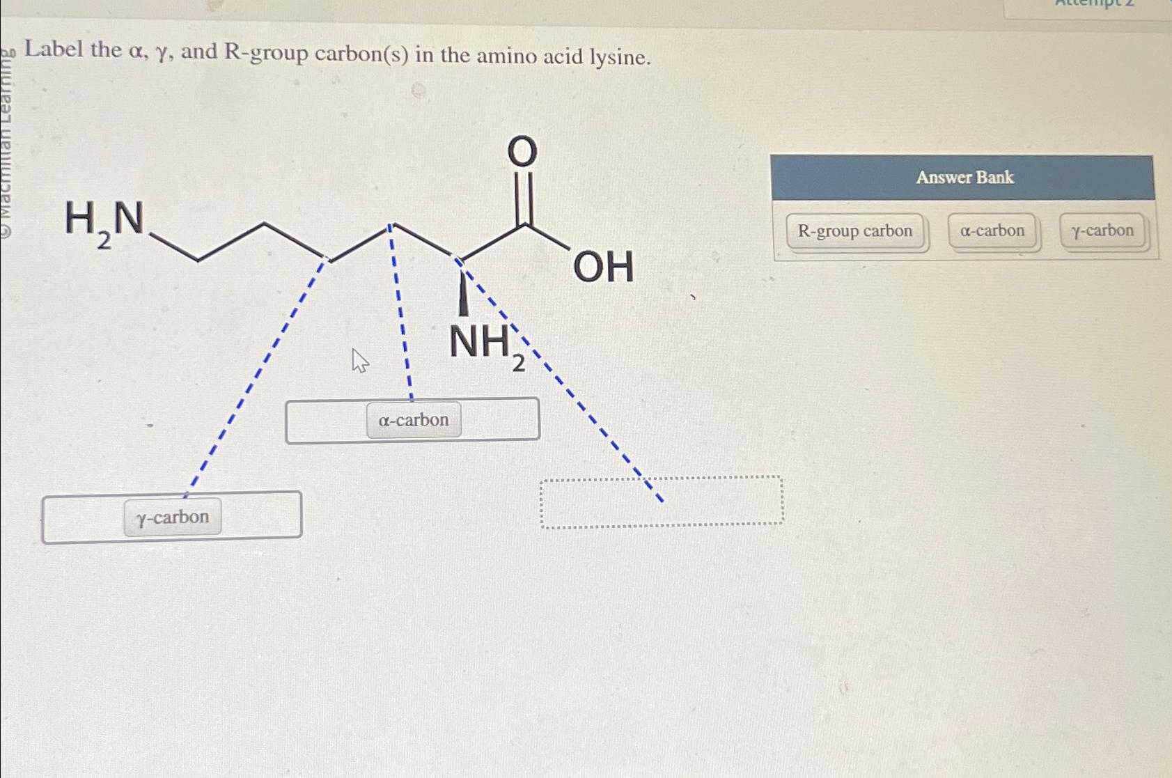Solved Label the α,γ, ﻿and R-group carbon(s) ﻿in the amino | Chegg.com
