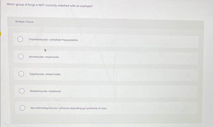 Solved Which group of fungi is NOT correctly matched with an | Chegg.com