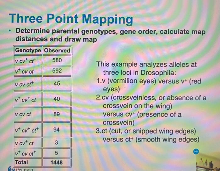 Solved Three Point Mapping V CV ctt 45 • Determine parental | Chegg.com