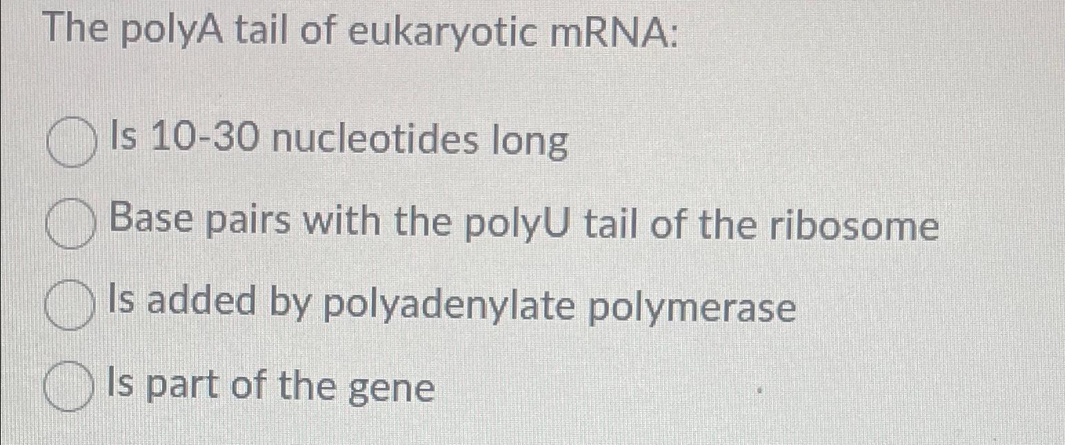 Solved The polyA tail of eukaryotic mRNA:Is 10-30 | Chegg.com