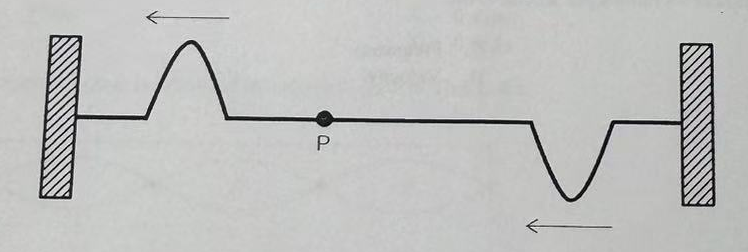 Spring Pulse Two pulses in a stretched spring fixed in place at | Chegg.com