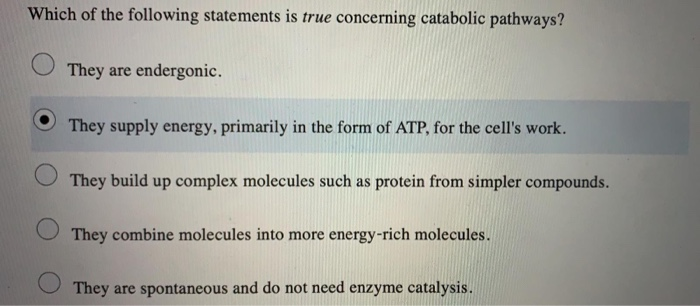 Write In 4 5 Sentences What Is The Connection Chegg Write In 4 5 Sentences What Is The Connection Chegg