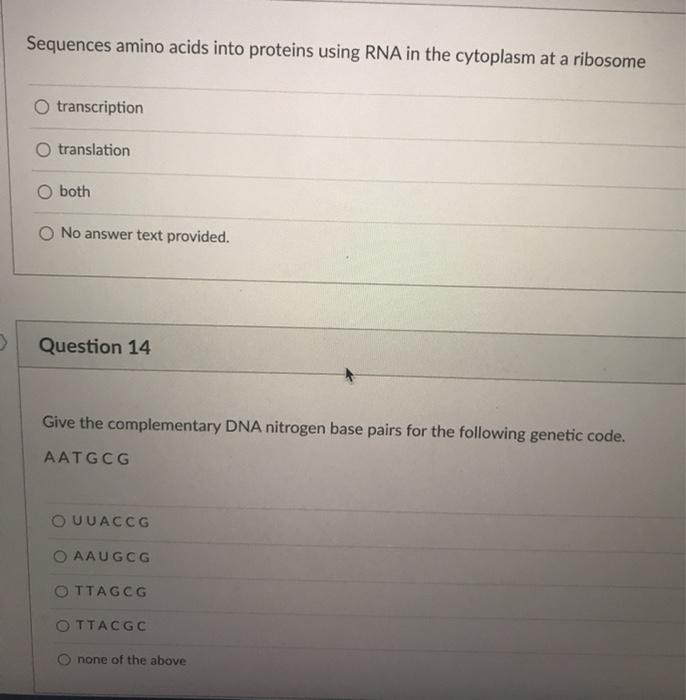 Solved Sequences Amino Acids Into Proteins Using Rna In The 