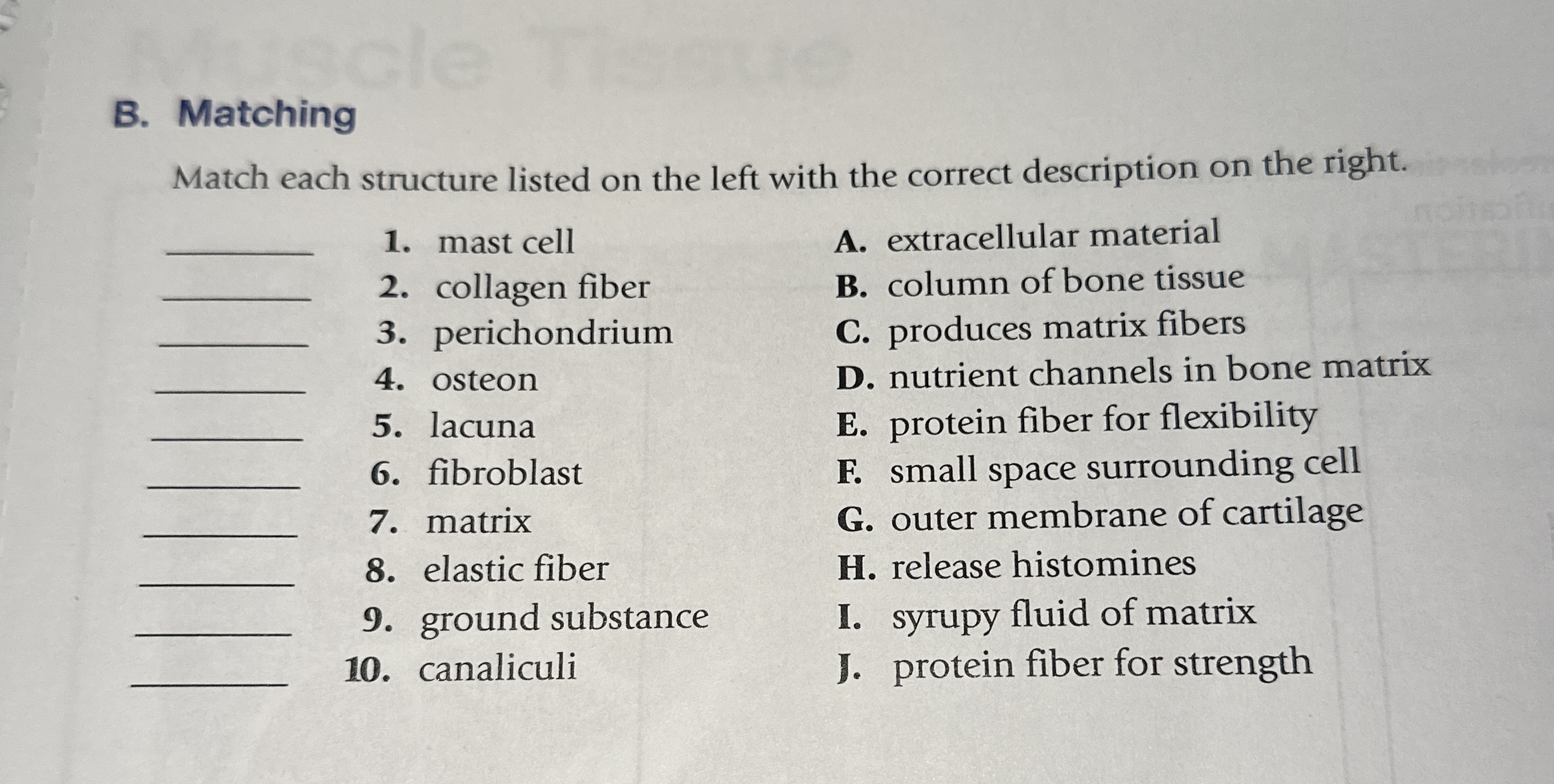 B. ﻿MatchingMatch each structure listed on the left | Chegg.com