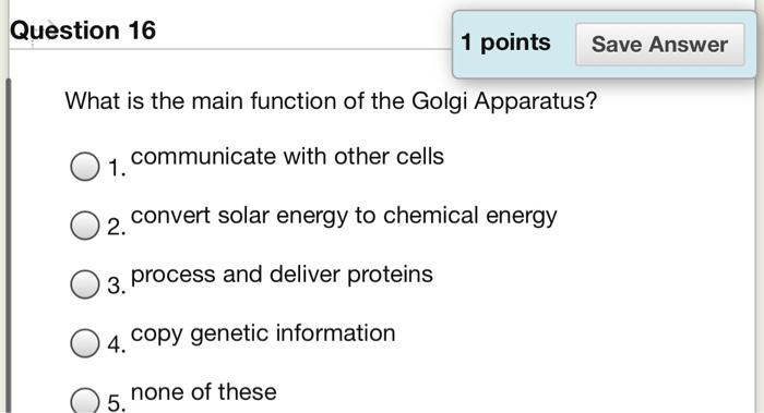 Solved Question 16 1 points Save Answer What is the main | Chegg.com
