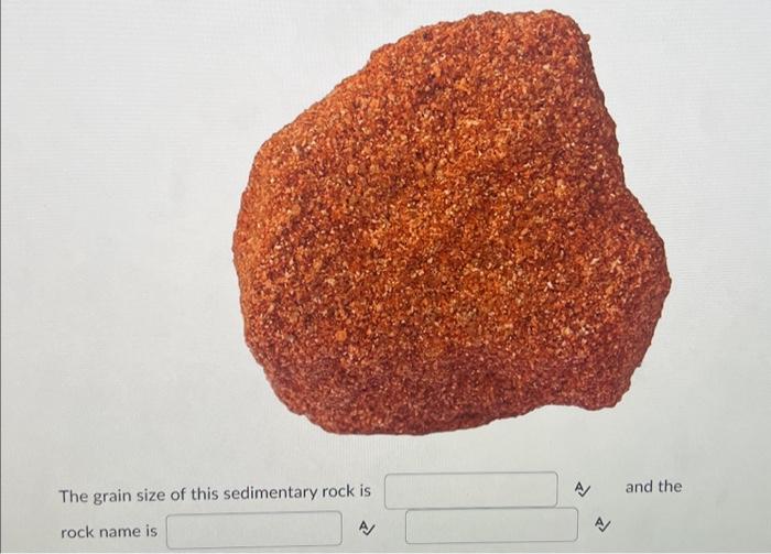 Solved The grain size of this sedimentary rock is rock name | Chegg.com