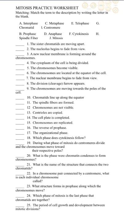 Solved MITOSIS PRACTICE WORKSHEET Matching: Match the term | Chegg.com
