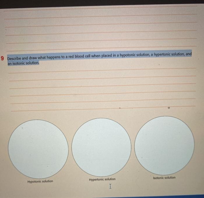 Solved 9 Describe and draw what happens to a red blood cell | Chegg.com