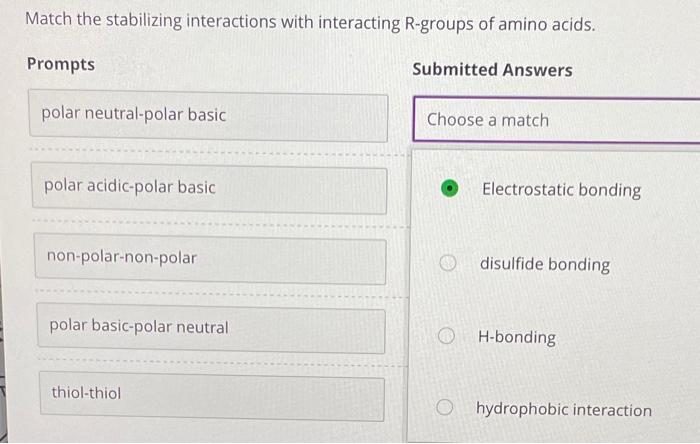 Solved Match The Stabilizing Interactions With Interacting | Chegg.com