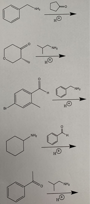 Solved NH2 но NH2 Н NH2 н Но Br NH2 H. но NH2 но | Chegg.com