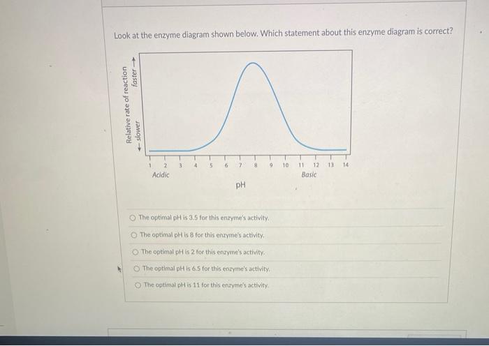 Solved Look at the enzyme diagram shown below. Which | Chegg.com
