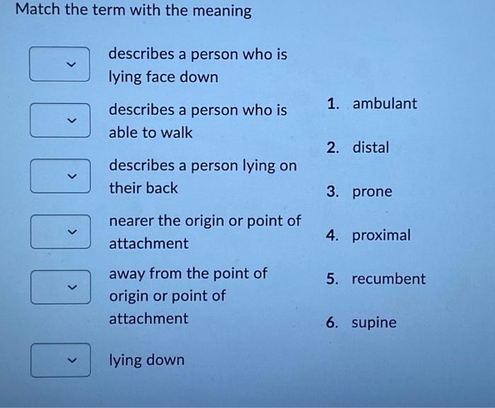 Solved Match the term with the meaning describes a person