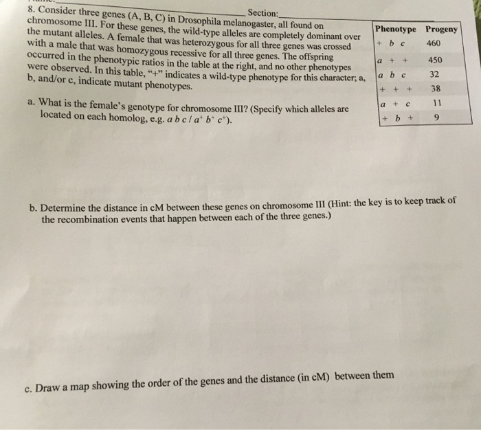 Solved Section: 8. Consider Three Genes (A, B, C) In | Chegg.com