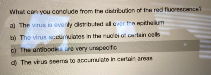 Solved What Can You Conclude From The Distribution Of The Chegg