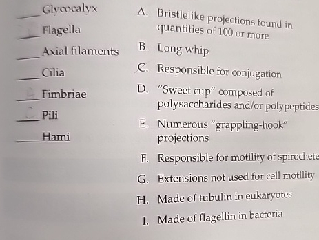 Solved q, ﻿Glycocalyxq, ﻿Flagellaq, ﻿Axial filamentsq, | Chegg.com