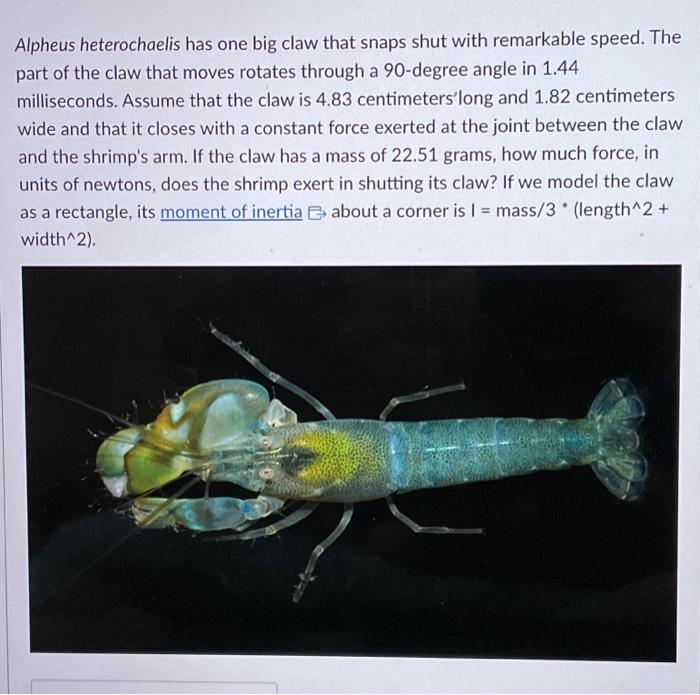 Solved Alpheus heterochaelis has one big claw that snaps