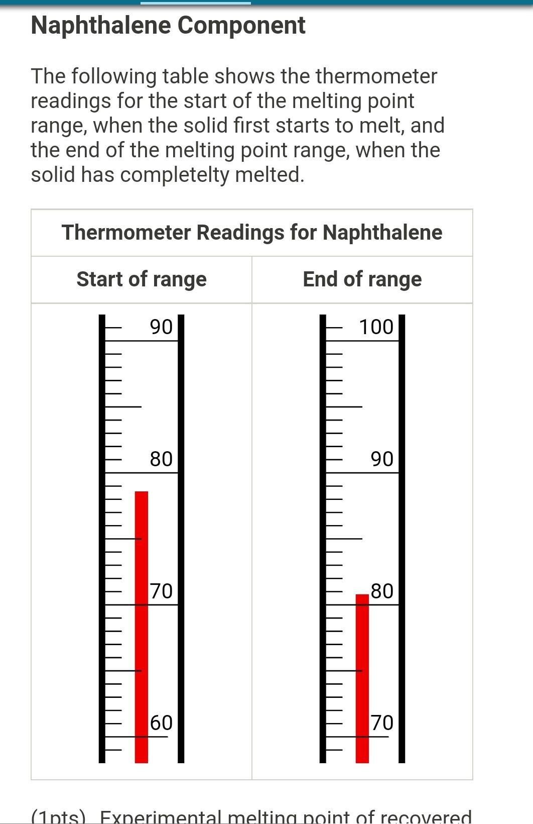 Melting Pot & Thermometer Special