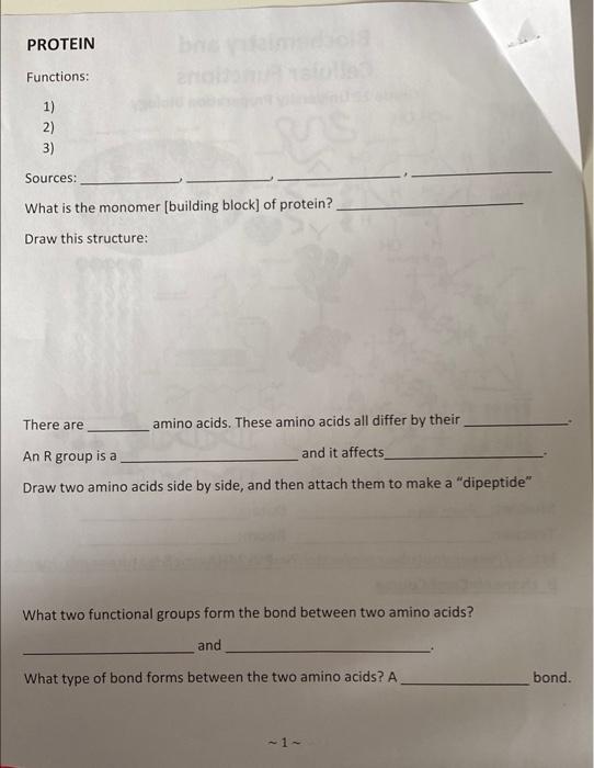 Solved PROTEIN Functions: 1) 2) 3) Sources: What is the | Chegg.com