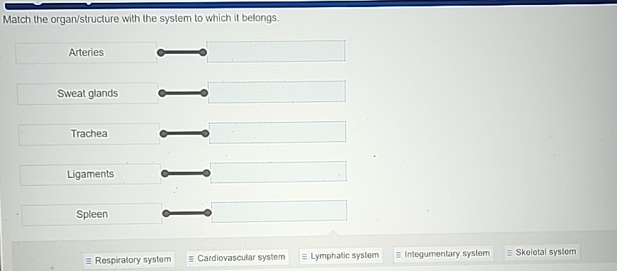 Solved Match the organ/structure with the system to which it | Chegg.com