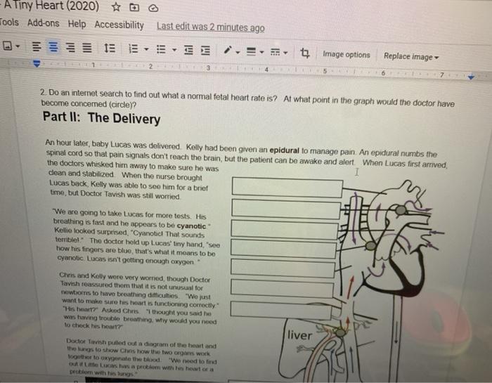 case study tiny heart answer key