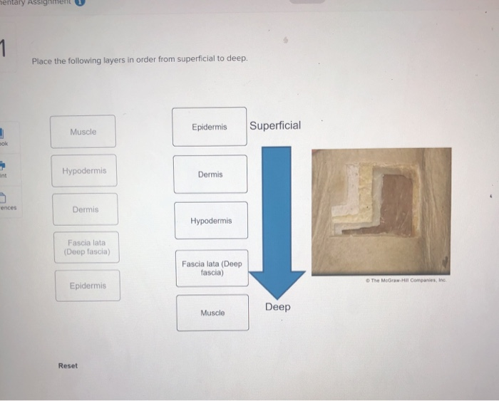 Solved: Complete Each Sentence By Dragging The Proper Word... | Chegg.com