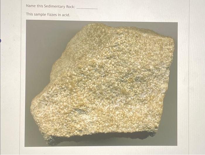 Solved Determine which type of sedimentary rock this sample | Chegg.com