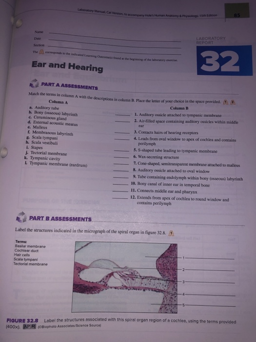 C6 - (Obl) Audiology Science to Practice cap 8-1-12 - 151 After reading  this chapter, you should be - Studocu