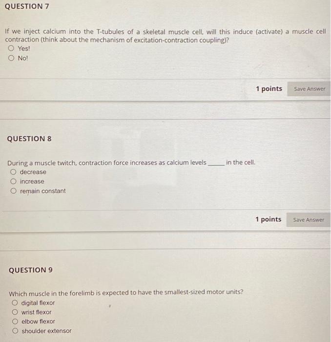 Solved The Z discs form the borders for a single whole