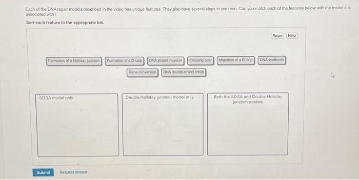 Solved Each of the DNA repar models described in the video | Chegg.com