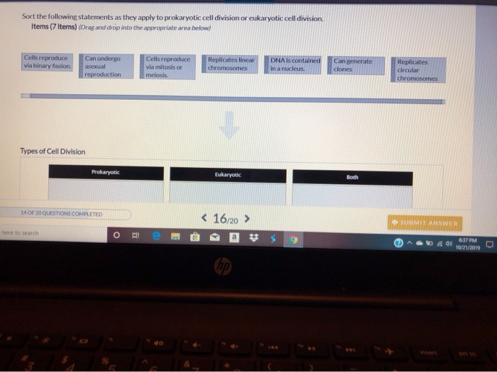 define binary fission vs cell division