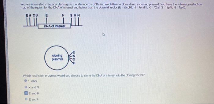 Solved You are interested in a particular segment of | Chegg.com