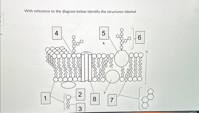 With reference to the diagram below identify the | Chegg.com