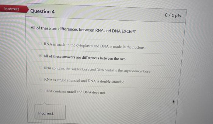 Solved All of these are differences between RNA and DNA | Chegg.com
