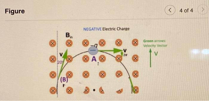 Solved I need help with parts D and E please! I will rate! | Chegg.com