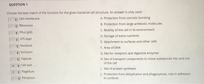 Solved QUESTION 1 Choose the best match of the function for | Chegg.com