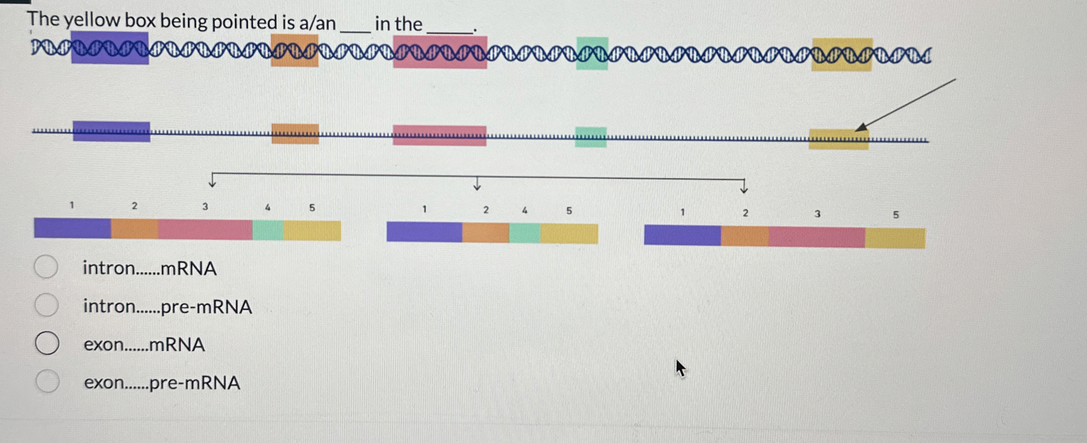 Solved The yellow box being pointed is a/an q, ﻿in the | Chegg.com