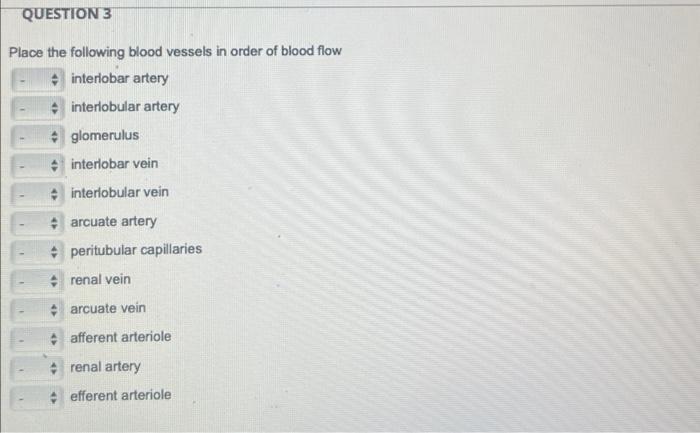 Place the following blood vessels in order of blood flow
interiobar artery
interlobular artery
glomerulus
interlobar vein
int