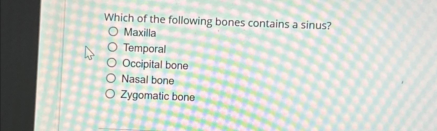 Solved Which of the following bones contains a | Chegg.com