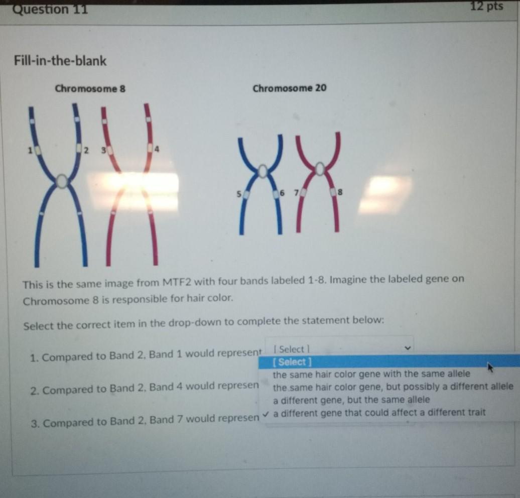 Solved Question 11 12 pts Fill-in-the-blank Chromosome 8 | Chegg.com