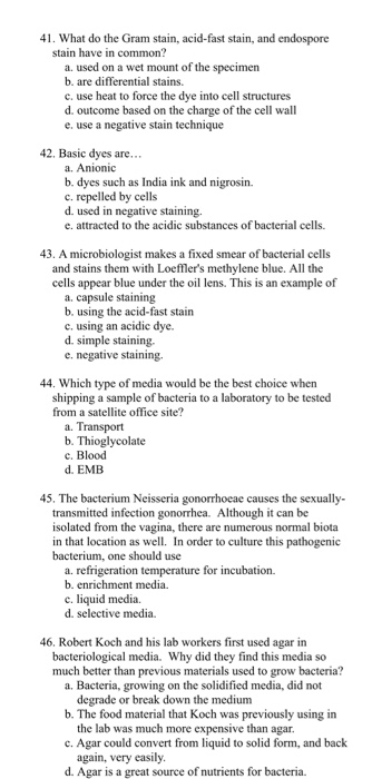 Solved 41. What do the Gram stain, acid-fast stain, and | Chegg.com