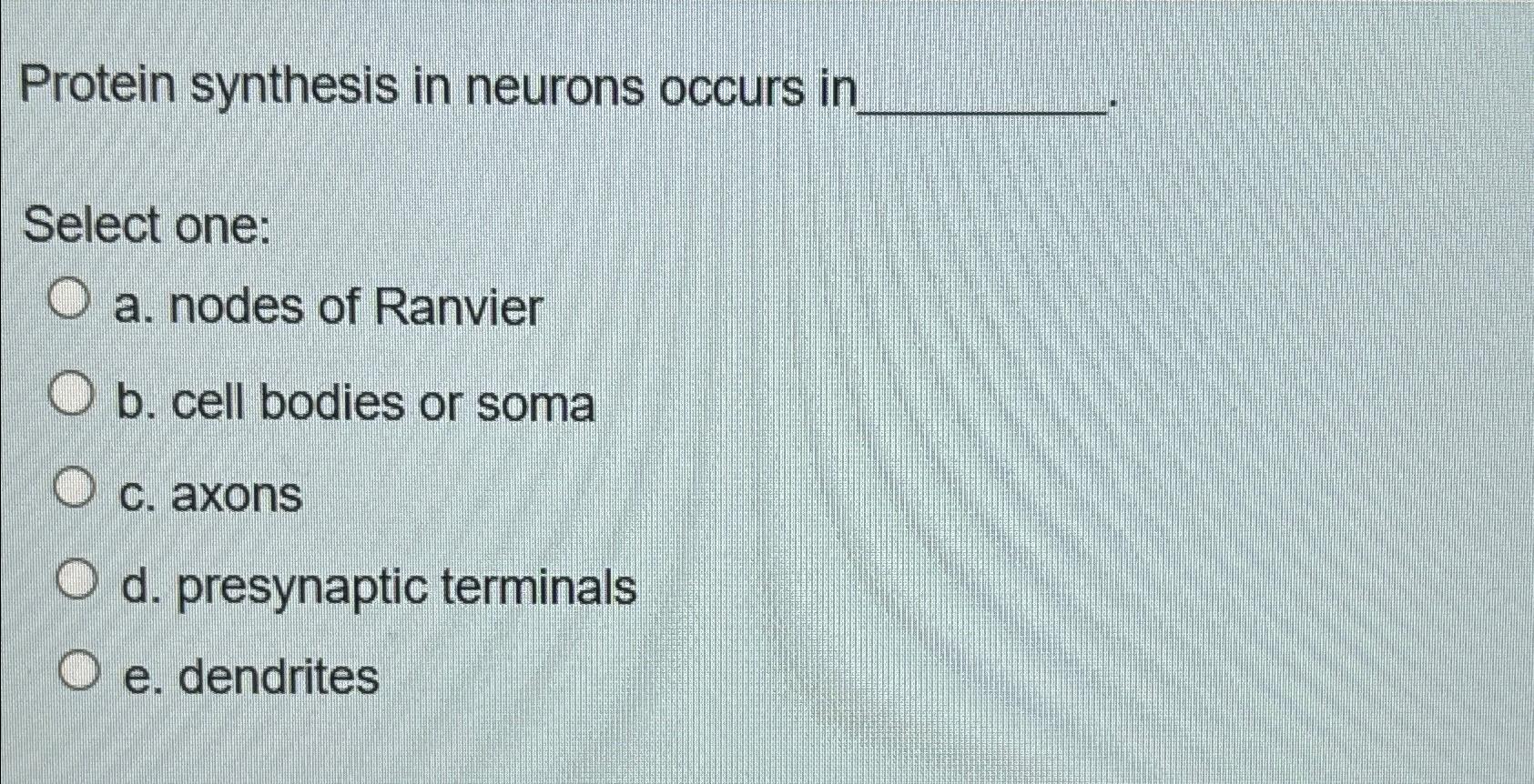 Solved Protein synthesis in neurons occurs inSelect onea.