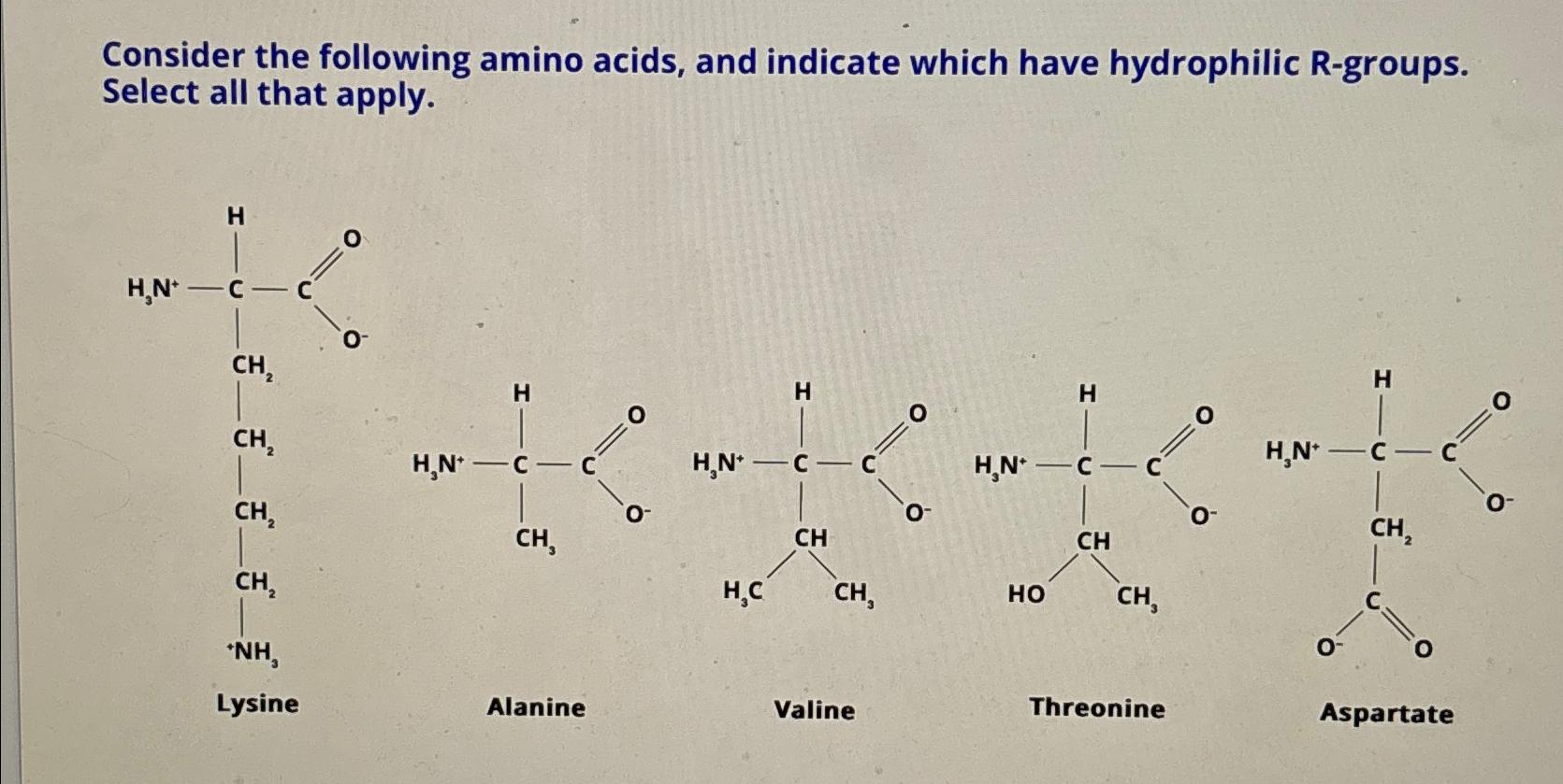 Solved Consider the following amino acids, and indicate