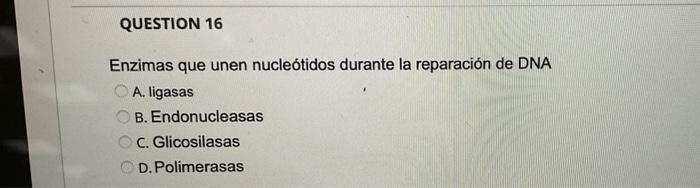 Enzimas que unen nucleótidos durante la reparación de DNA A. ligasas B. Endonucleasas c. Glicosilasas D. Polimerasas